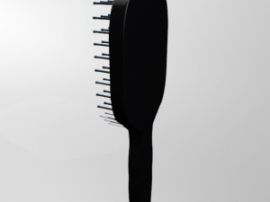 hair brush 03 3D Модель