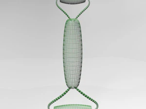 Face roller 02 3D Model