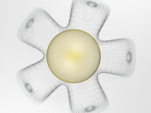 Developmental Learning Crawl Toy 01 Model 3D