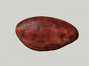 cacao bean 3D Модель