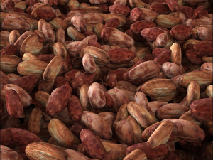 cacao bean 3D Модель
