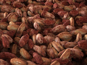 cacao bean 3D Model