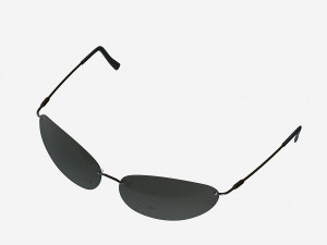 matrix sunglasses Modello 3D