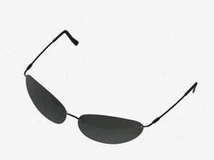 matrix sunglasses 3D Model