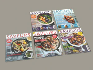 cooking magazines stack 3D Model