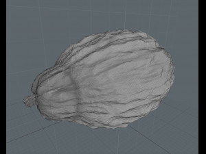 cocoa pod 3D 모델