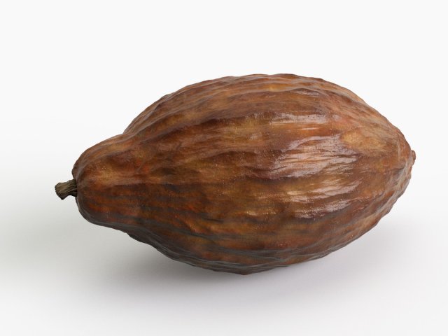 cocoa pod 3D 모델 .c4d .max .obj .3ds .fbx .stl .blend 