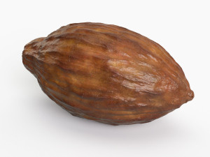 cocoa pod 3D 모델