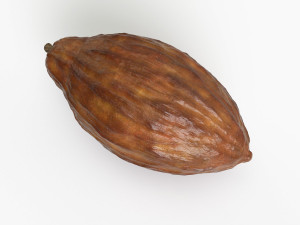 cocoa pod 3D 모델