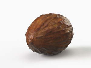 cocoa pod 3D 모델