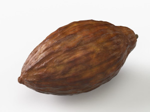 cocoa pod 3D 모델