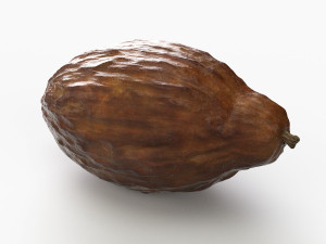cocoa pod 3D 모델
