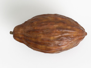 cocoa pod 3D 모델