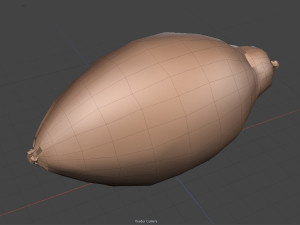 cocoa pod 3D 모델