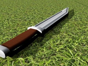 seax Modello 3D