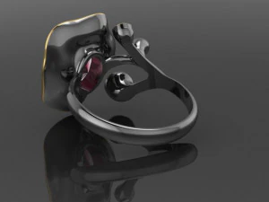 Ring 3D Model