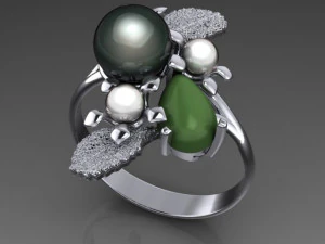Ring 3D Model