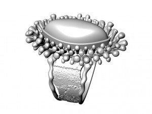 Ring 3D Модель