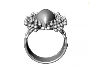 Ring 3D Модель