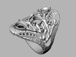 Ring 3D Модель
