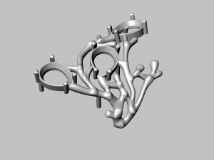 Ring 3D Модель