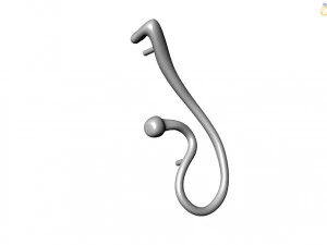 Ring 3D Model