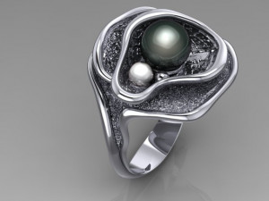 Ring Model 3D