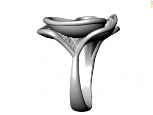 Ring Model 3D