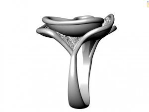 Cincin Model 3D