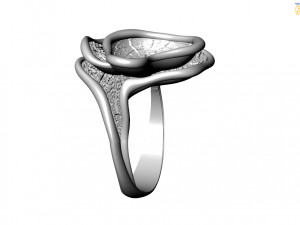 Ring Model 3D