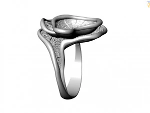 Cincin Model 3D