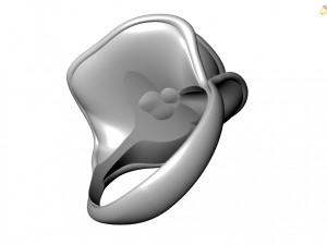 Ring Model 3D