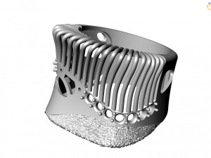 Ring 3D Модель