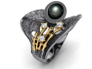 Ring 3D Model