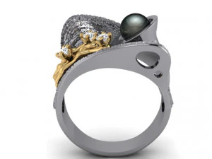 Ring 3D Model
