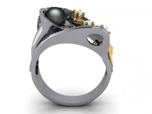 Ring Model 3D