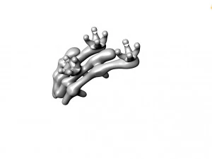 Ring 3D Model