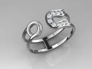 Ring 3D Model