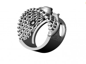 Ring 3D Model