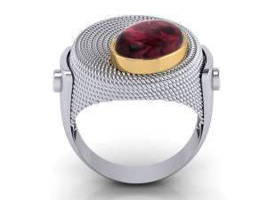Ring 3Dモデル