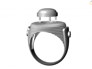 Ring 3Dモデル