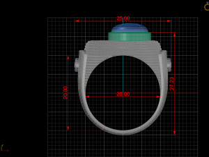 Ring 3Dモデル
