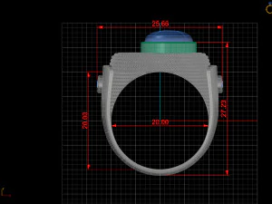 Ring 3D Model