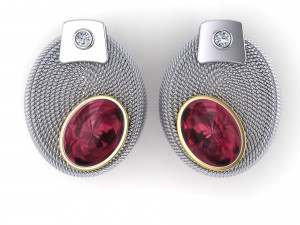 Earrings 3D Model