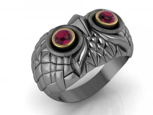 Ring 3D Print Model