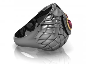 Ring 3D Print Model