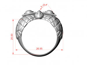 Ring 3D Print Model