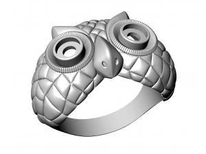 Ring 3D Print Model