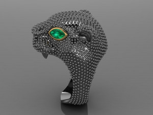 Ring Model do druku 3D