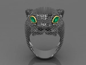 Ring 3D Print Model